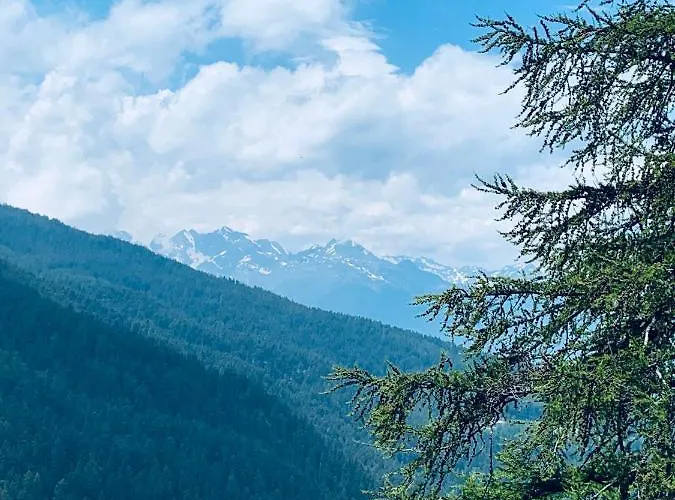 Edelweiss Pila-ski Con Vista Montagne Pila (Valle d'Aosta)